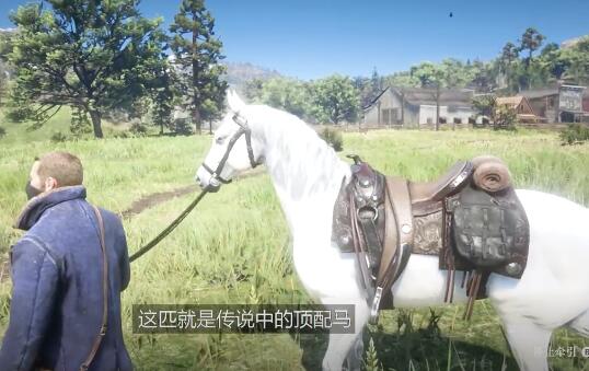 1650857613839650.jpg 荒野大镖客2最好的极品马阿拉伯马.jpg