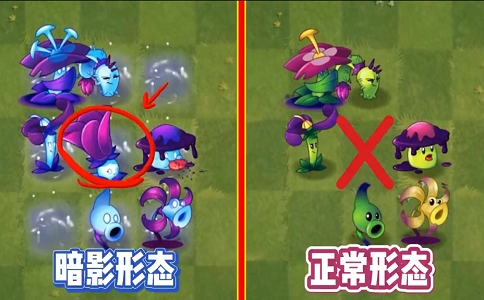 植物大战僵尸2 植物被暗影前后的差距有多大.png
